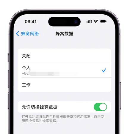 百色苹果维修服务分享如何在iPhone上使用双卡 